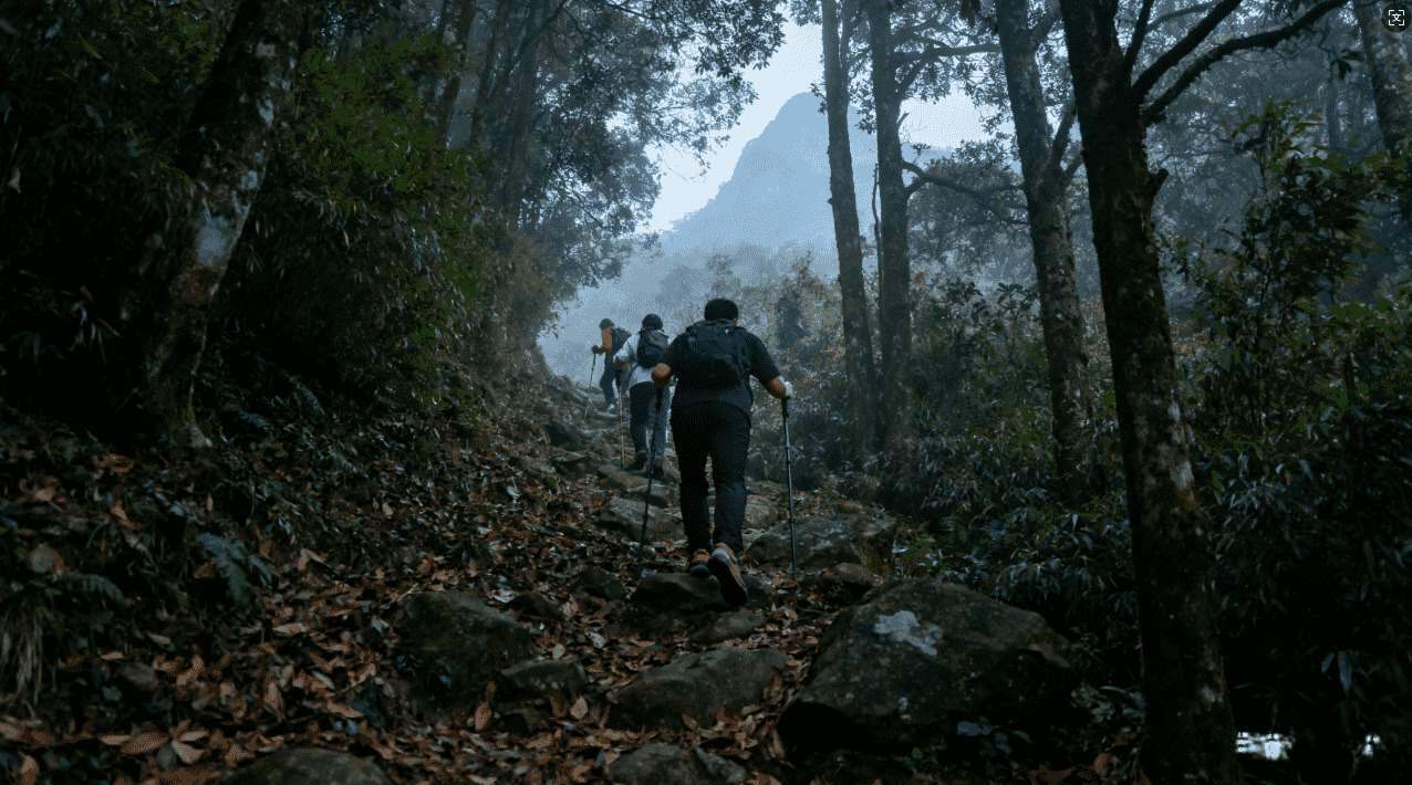迅游加速器帮助玩家提升蘑菇开采效率的方法推荐